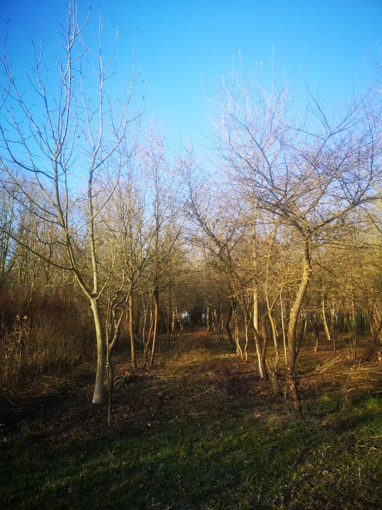 Da dx a sx: terzo e quarto filare